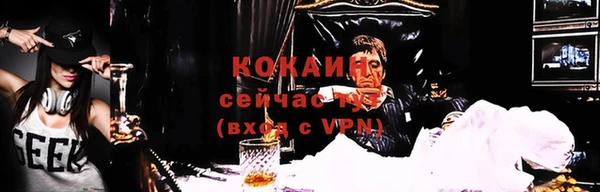 ПСИЛОЦИБИНОВЫЕ ГРИБЫ Козловка