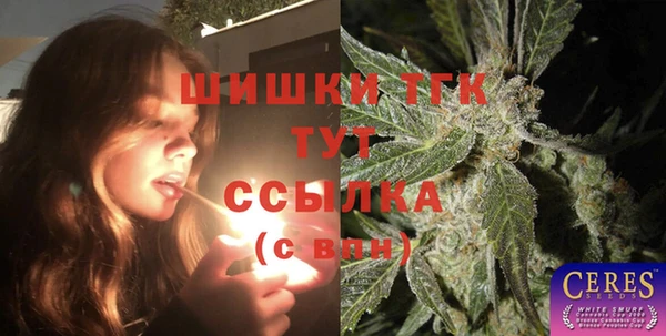 ПСИЛОЦИБИНОВЫЕ ГРИБЫ Козловка