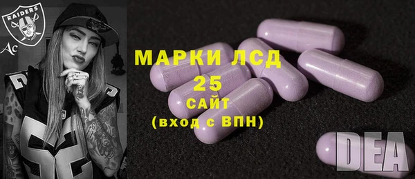 ПСИЛОЦИБИНОВЫЕ ГРИБЫ Козловка