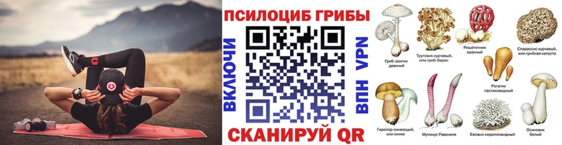 Псилоцибиновые грибы Magic Shrooms  купить наркотики цена  Нестеров 